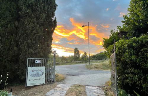 Ultimo Piano - Foto 7