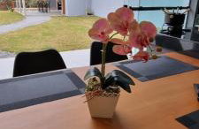 Casa Deck videiras - Foto 25