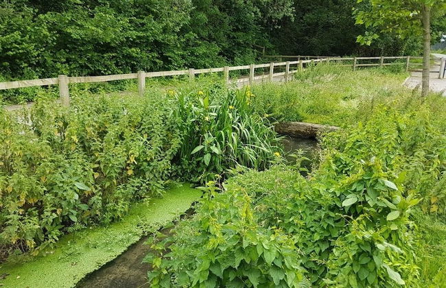 Streamside Apartments - Foto 36