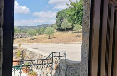 LÍRIOS DA GRANJA - CASA DE CAMPO - Foto 6