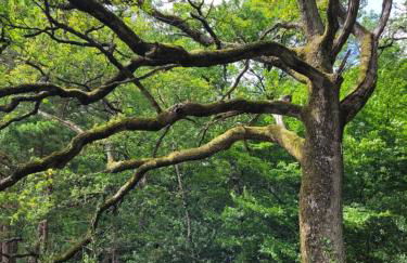 Le Refuge de la Doucette - Foto 28