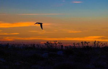HYEDAV Studio climatisé pour 4 personnes à 50 m de la plage - Les Salins d'Hyères - Foto 8
