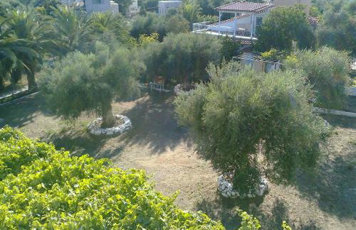 Aeolos Hotel Apartments - Foto 41