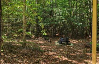 Treehouses at Lake Mountain Manor - Foto 45