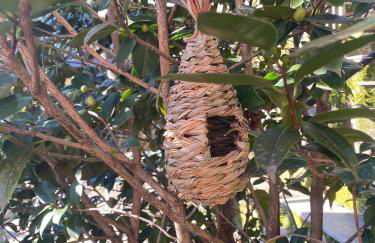 Sun Lake House and Hill - Foto 20