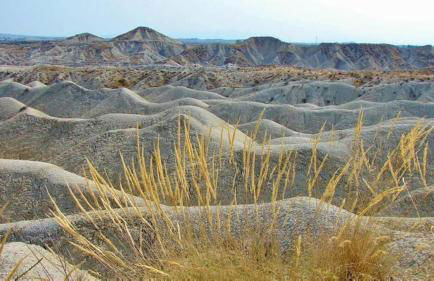 cozy House with Secret Garden & Spa private - Foto 27