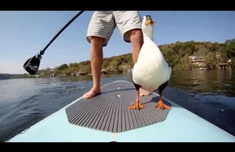 WOW Location Incredible Views - Foto 23