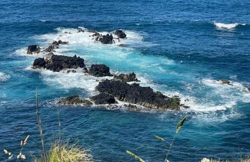 House in Ponta Garça - Photo 9