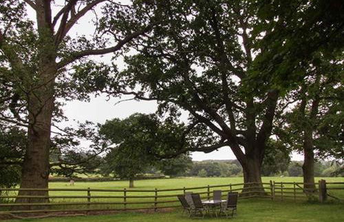 Finwood Cottage 1 - Foto 11