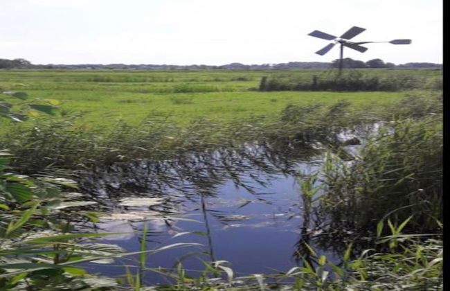 Cozy House with a Boat near Giethoorn & Weerribben Wieden National Park - Photo 32
