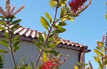 "Villa Kastania" Melidoni, Chania, Crete - Foto 36