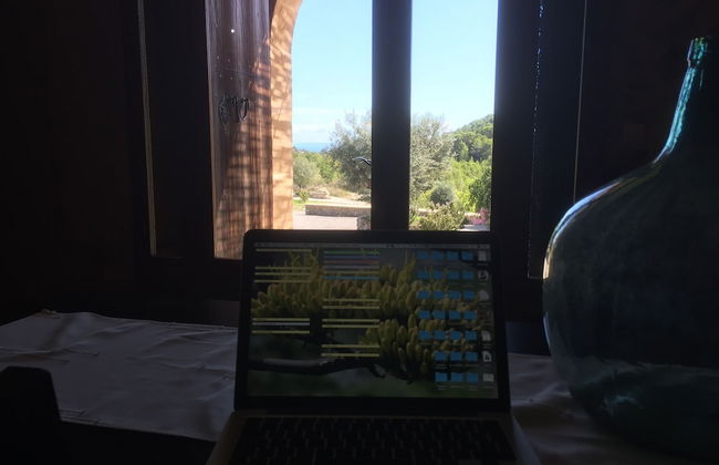 Agroturisme Es Picot - Foto 68