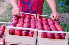 Stara kuća - Photo 29