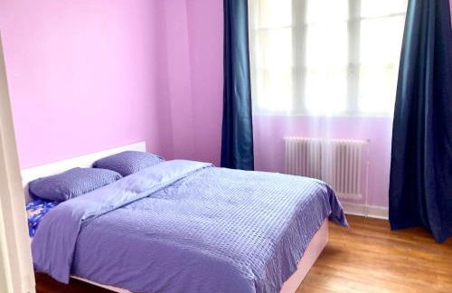 Charmante Maison avec Jardin à Troyes - Foto 8