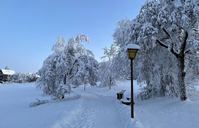 Cozy Apartment in Braunlage near Forest - Foto 26