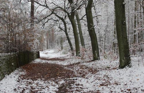 Moderne Wohnung im skandinavischen Stil am Waldrand - Foto 35