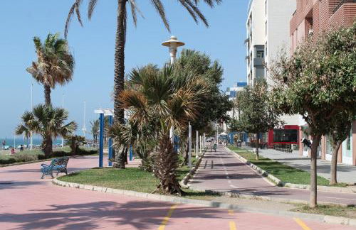 PACIFICO 18 - Photo 20