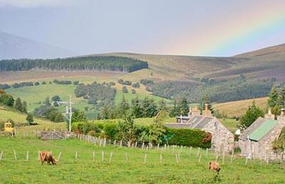 Honey Cottage - Foto 15