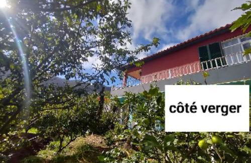 Sea Mountain House - Foto 45