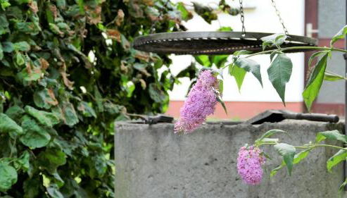 Helles Ferienhaus im Landhausstil für bis zu 10 Personen - Foto 2, Garden