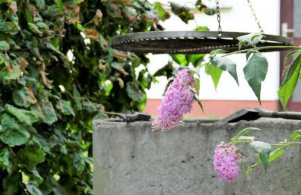 Helles Ferienhaus im Landhausstil für bis zu 10 Personen - Photo 2