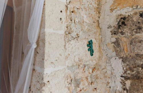 19th century Trullo Raeda in the middle of nature - Foto 33