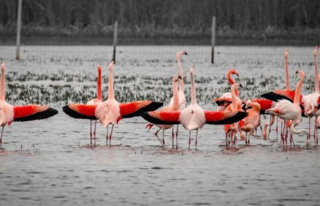 Apartment in the Fortified With Private Garden - Photo 59