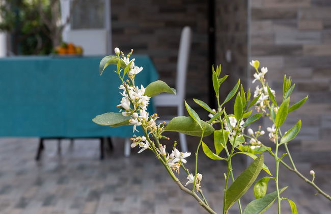 Villa Lale - Foto 31