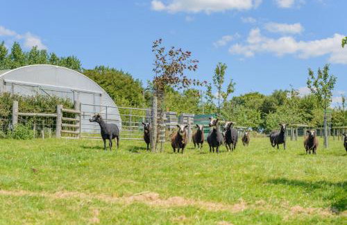 2 Bed in Bude oc-00952 - Foto 21