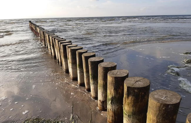 Appartements Post Hiddensee, Vitte - Foto 21