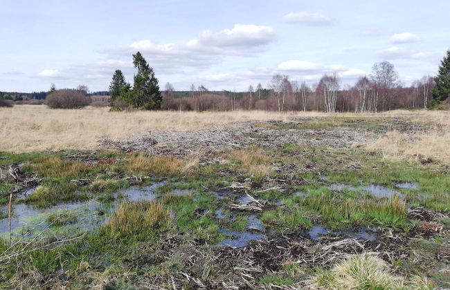 Escape in Hautes Fagnes - Photo 38