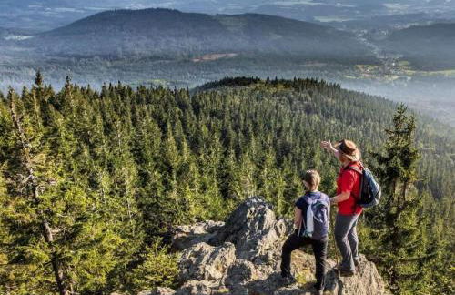 Holiday Home in Röhrnbach mit Grill und Terrasse by Interhome - Foto 25