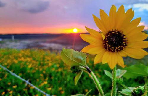 Cowboy Cottage, Country Charm - Foto 20