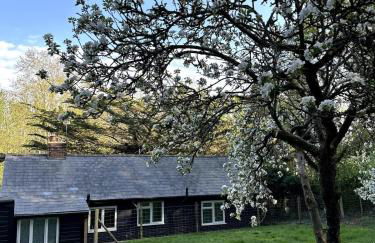 Tranquil home at Westerlands Farm, Sleeps 7, The South Downs - Foto 52