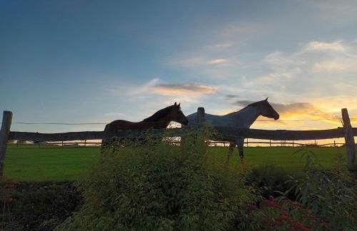 Häuser Traumblick und Alpenzauber - Foto 6