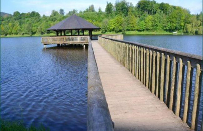 Cottage by Lake in Vielsalm With Sauna - Foto 33