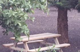 Casa el Porte - Foto 39