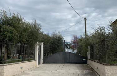 Nonna Nesti - Foto 10