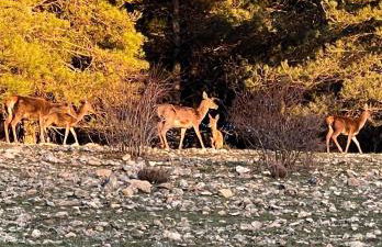 Casas Rurales Mirador del Rio Zumeta - Foto 10