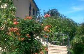 Apartments Vlasici - Foto 36