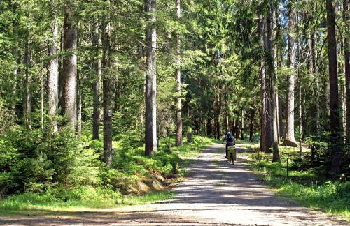 Lippenhof - Unter der Linde - Foto 30