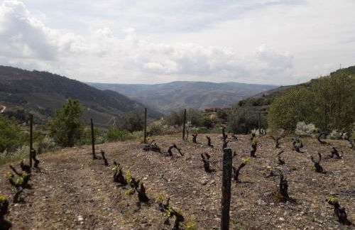 Casa da Farmácia - Foto 6