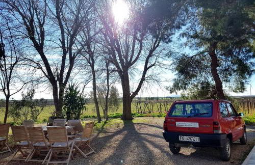 Agriturismo Masseria Mascitelli - Foto 21