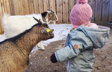 Ferienhof beim Bohlar - Hochplatte - Foto 19