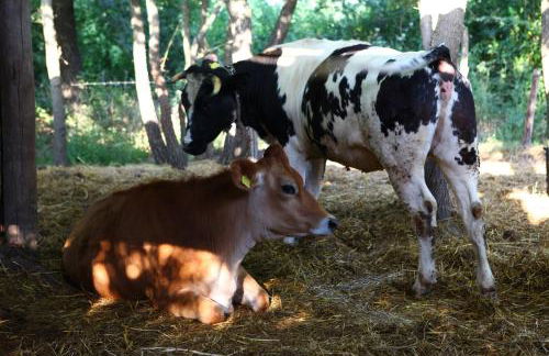 Agriturismo Il Pozzo - Foto 32