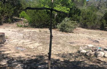 Perfect Country-Side Get-Away - Photo 20