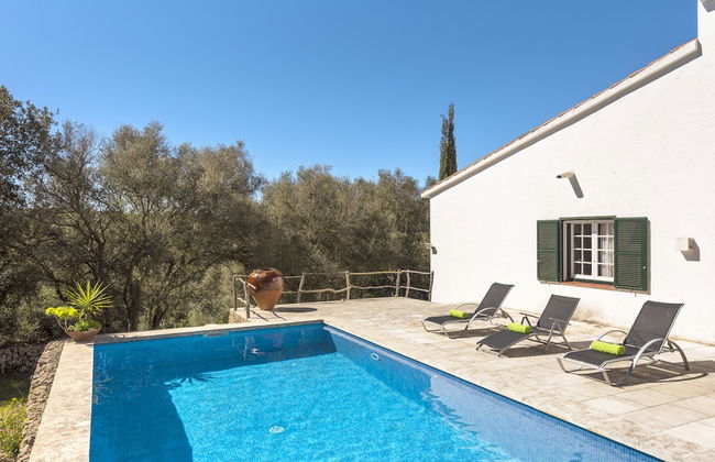 Finca Ses Curtanetes - Foto 32