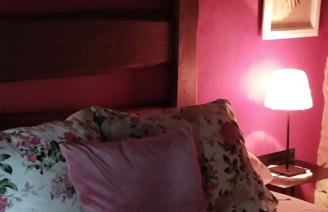 Mas Cal Sastre - Photo 56