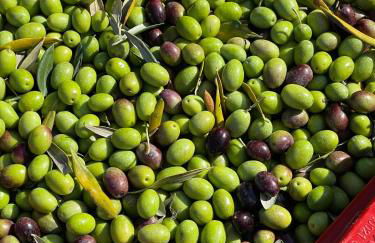 Villa Venti - Craft Wine & Hospitality - Foto 69