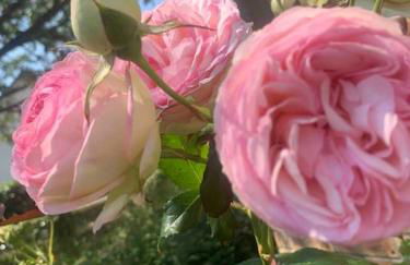 Maison des Larris - proche Aéroport - navette Gare - Foto 8